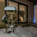 Modern At Thuringian Rennsteig